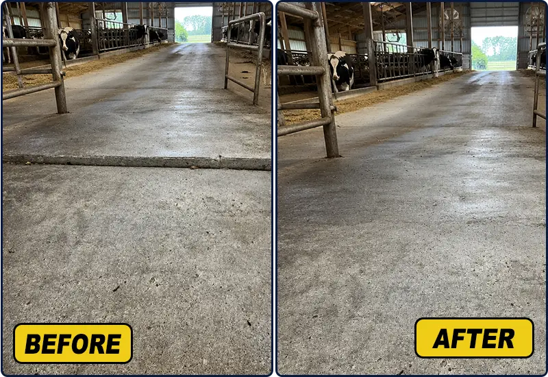 Dairy Barn Concrete Leveling Company in Albany NY