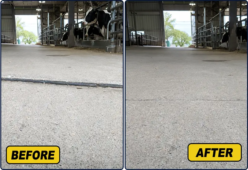 Dairy Barn Concrete floor Lifting Company in Albany NY